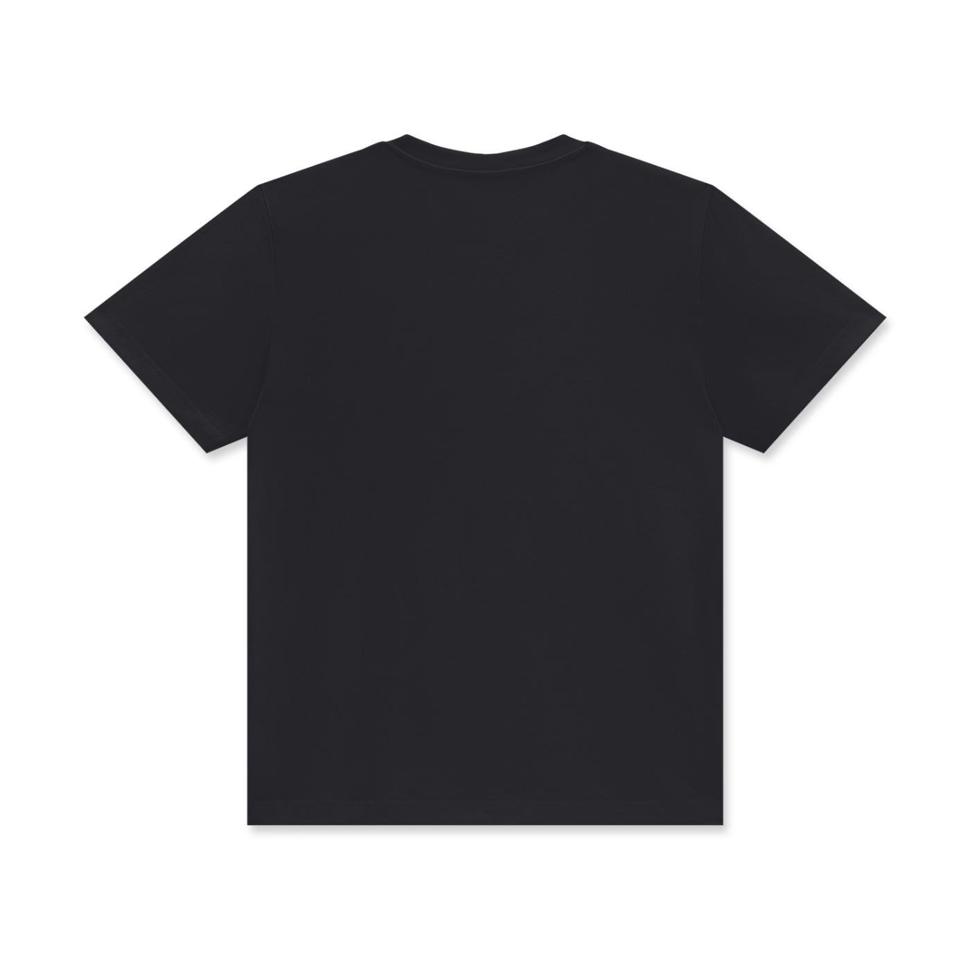 LI SHUWEN Bajiquan Academy T-Shirt